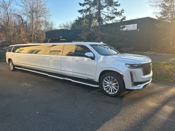 White luxury stretched SUV limousine parked in a suburban office lot at golden hour, reflective windows and tall trees in the background