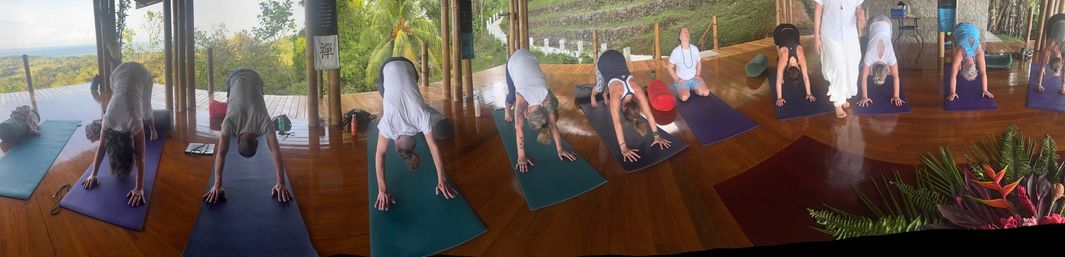 Private At-Home Yoga Class with Sound Tools in Raleigh, NC image 6