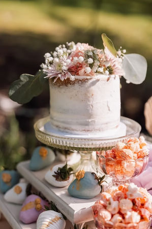 Semi-naked single-tier wedding cake topped with pink roses, baby’s breath and eucalyptus on a glass stand, surrounded by pastel chocolate-covered strawberries and bowls of pink popcorn on an outdoor garden dessert table.