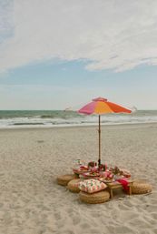 Luxury Picnic Setup and Styling in Wilmington, NC image 13