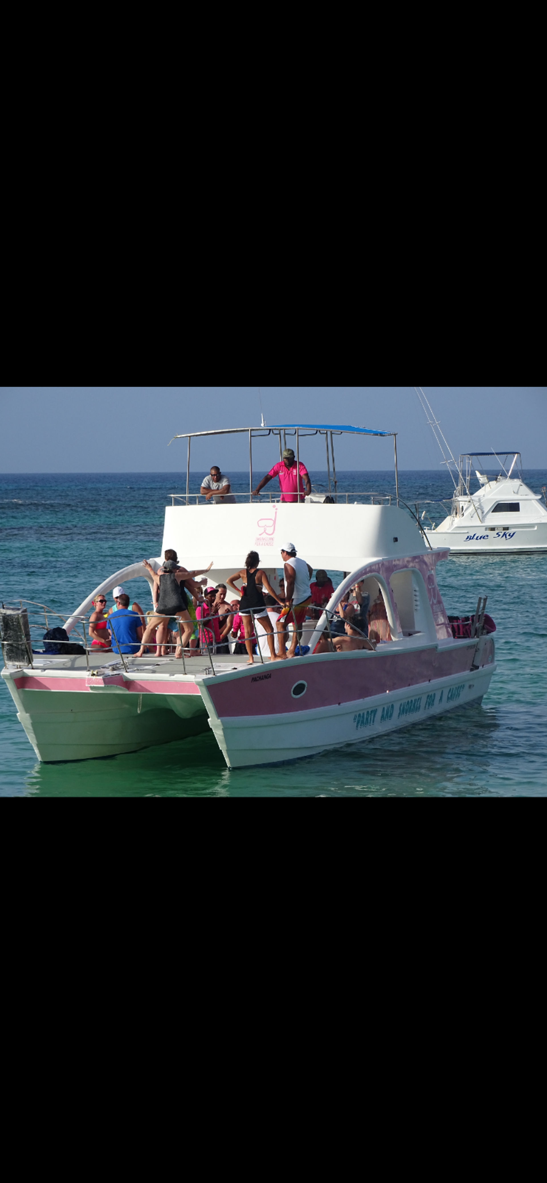 Private Pink Party Boat Experience image 1
