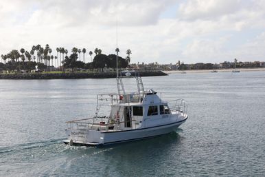 Small white cabin boat cruising through a calm coastal bay, palm-tree lined shoreline and beachfront homes under a partly-cloudy sky.