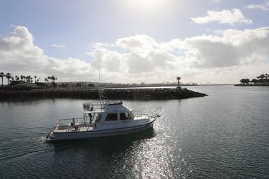 White cabin motorboat cruising past a rocky breakwater into a sunlit coastal harbor with palm trees on the shoreline and glittering water under a partly cloudy sky.