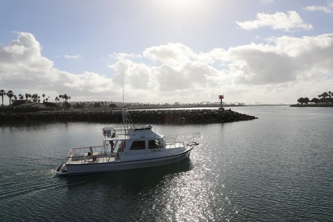 White cabin motorboat cruising past a rocky breakwater into a sunlit coastal harbor with palm trees on the shoreline and glittering water under a partly cloudy sky.