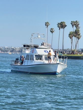 White passenger boat cruising a sunny Southern California bay with tall palm trees, a waterfront park and sparkling blue water.