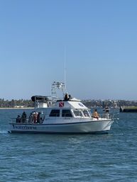 White charter boat with passengers on deck cruising a calm blue bay under a clear sky, palm‑lined shoreline and marina visible in the background.