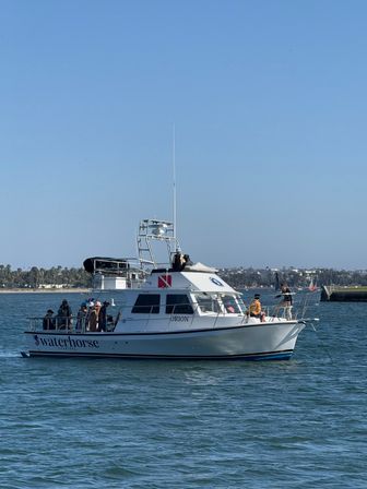 White charter boat with passengers on deck cruising a calm blue bay under a clear sky, palm‑lined shoreline and marina visible in the background.