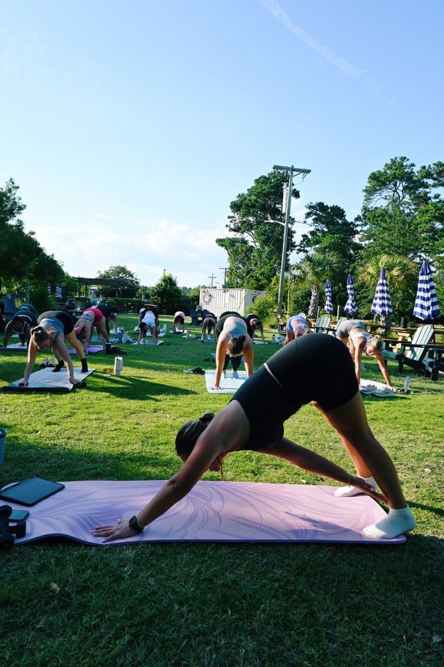 Outdoor yoga class on a sunny green lawn — group practicing downward dog on mats under a bright blue sky