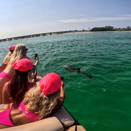 Three people in bright pink swimsuits and matching caps leaning from a boat to snap photos of a dolphin surfacing in clear green coastal water, with a low bridge and sandy shoreline in the background.