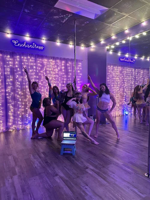 Group of dancers posing around a pole in a purple-lit studio with string lights, mirrored wall, wooden floor and a laptop on a small stool — playful pole-fitness vibe.
