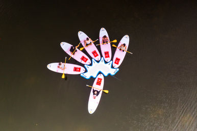 The Board & Body Private Experience: Floating Fitness Class on Paddleboards with Instructor image 1