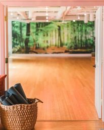 Private Yoga Party Experience with Arise Yoga Movement image 7