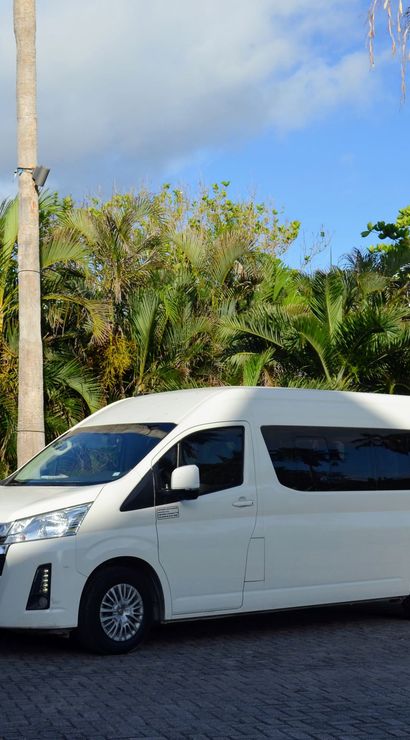 White passenger van parked on a sunlit tropical driveway lined with palm trees and blue sky, with a man in a dark shirt and sunglasses standing beside it.