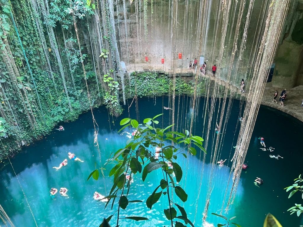 Overhead view of a tropical cenote sinkhole with vivid turquoise water, long hanging vines, limestone walls and swimmers floating below