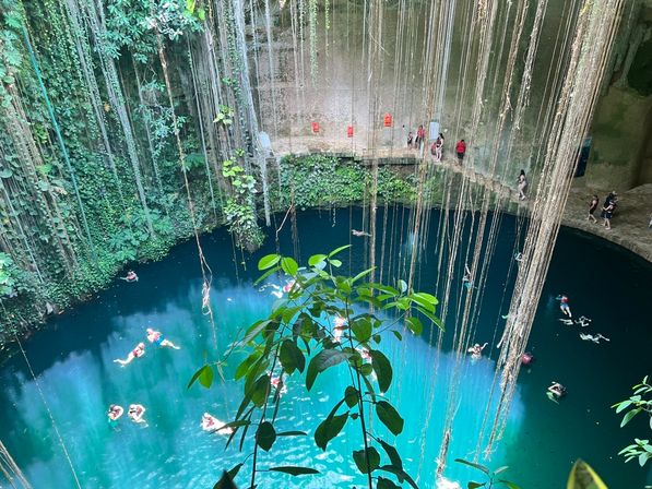 Overhead view of a tropical cenote sinkhole with vivid turquoise water, long hanging vines, limestone walls and swimmers floating below