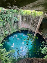 Aerial view of a turquoise cenote sinkhole in Yucatán, Mexico — steep limestone walls draped with hanging vines and roots, swimmers floating with red life vests