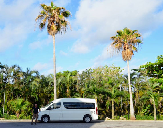 White shuttle van parked beneath tall palm trees and lush tropical foliage, a person standing beside it on a sunny blue-sky day — tropical parking scene.