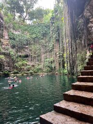 Swimmers enjoying an emerald-green cenote framed by steep limestone walls draped with hanging vines and wet stone steps descending to the water — tropical Yucatán sinkhole scene.