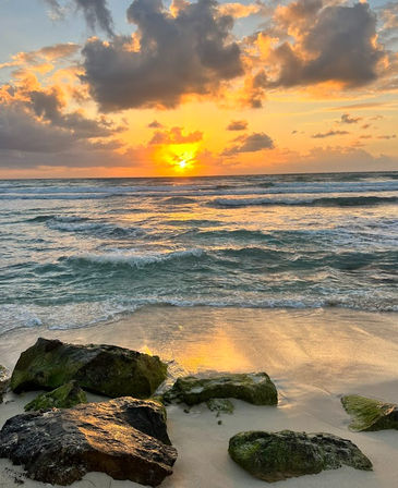 Golden sunset over ocean waves, sunlight reflecting on wet sand and moss-covered rocks along a peaceful beach