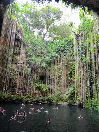 Swimmers floating in a deep Yucatán cenote — a sunlit limestone sinkhole with dark emerald water, long hanging vines and lush tropical vegetation.