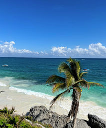 Vibrant tropical beach with a leaning palm tree on a rocky shore, white sand and turquoise water lapping the coast beneath a bright blue sky with fluffy clouds and small boats on the horizon.
