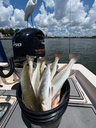 Bucket of freshly caught speckled trout on a boat deck, white egret perched on the outboard motor, fishing rod and cloudy blue sky over a calm coastal inlet