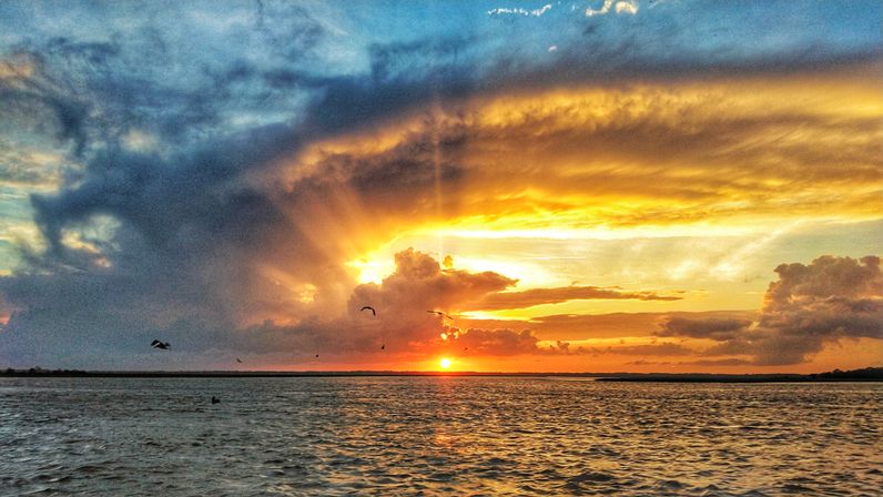 Golden coastal sunset over rippling water, dramatic cloudscape and sunbeams on the horizon with seabirds silhouetted in flight.
