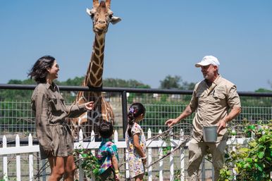 Fredericksburg Giraffe Experience & Wine Tasting image 9