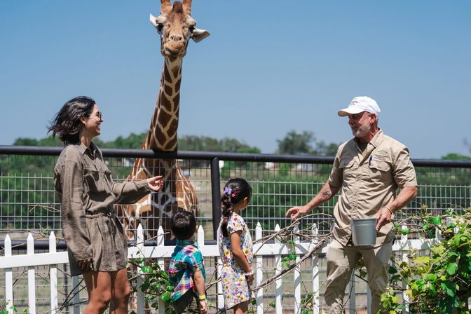 Fredericksburg Giraffe Experience & Wine Tasting image 9