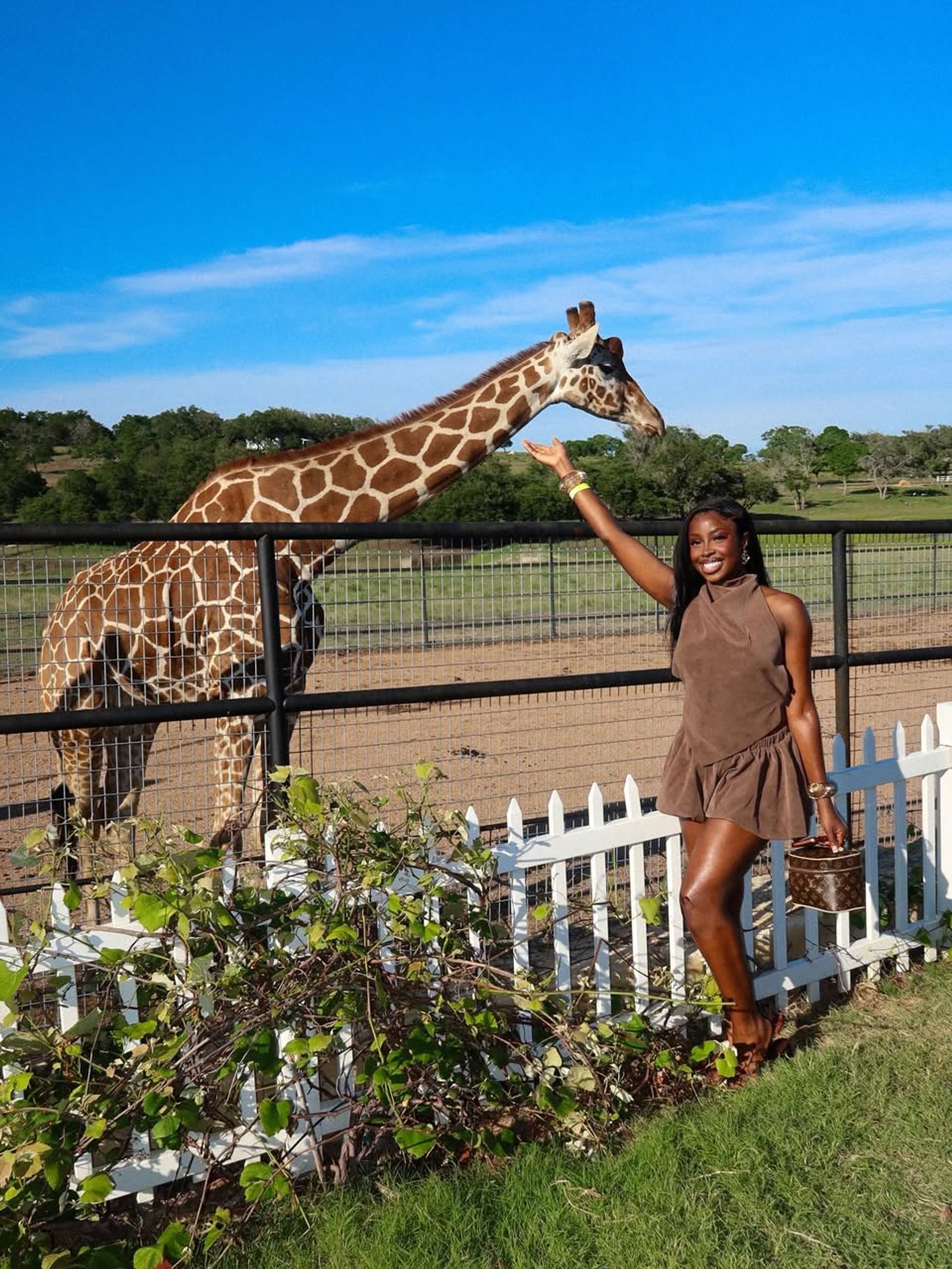 Fredericksburg Giraffe Experience & Wine Tasting image 1