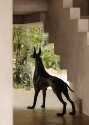 Bronze Great Dane sculpture poised beneath a stepped concrete staircase in a minimalist tropical interior with glass wall and lush garden view