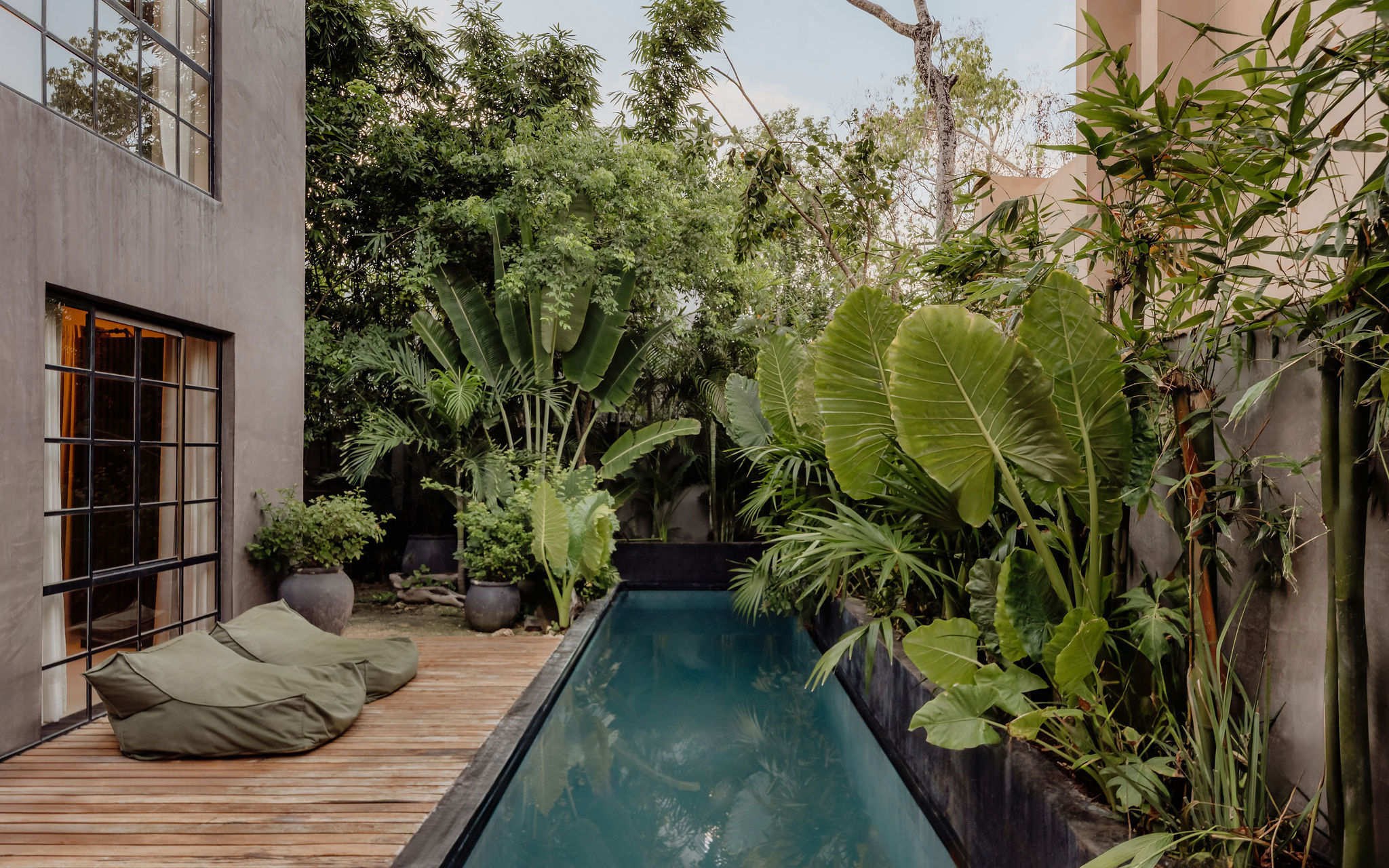 Serene private courtyard with a narrow plunge pool beside a modern concrete house, wooden deck with olive-green beanbag loungers and lush tropical plants