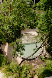 Aerial view of a circular plunge pool in a sunlit tropical courtyard, surrounded by lush green trees and palm fronds with dappled shadows.
