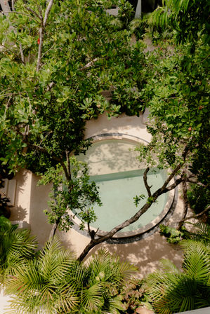 Aerial view of a circular plunge pool in a sunlit tropical courtyard, surrounded by lush green trees and palm fronds with dappled shadows.