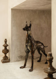 Stoic bronze Great Dane sculpture standing in a neutral plaster niche with antique finials nearby — minimalist interior decor accent for a modern foyer.