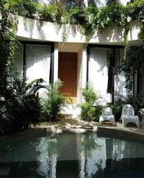 Tropical courtyard with a circular plunge pool reflecting a modern white villa facade, wooden slatted door, lush hanging and potted palms, and two white sculptural lounge chairs.