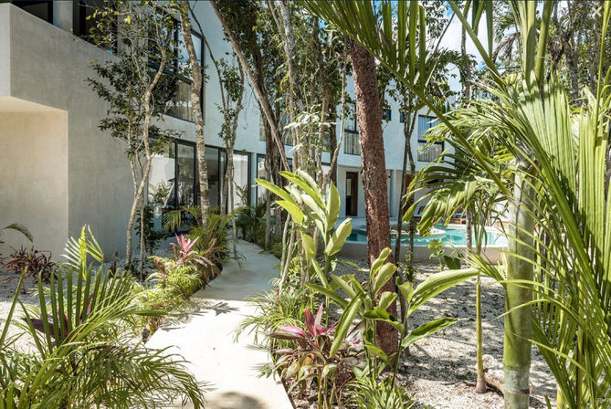 Sunny tropical courtyard of a modern boutique hotel — winding concrete path through lush palms and tropical plants leading to ground-floor rooms and a turquoise swimming pool.