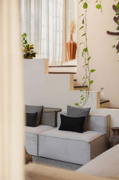 Sunlit modern living room interior with modular light-gray sofa, black throw pillows, trailing pothos vine, terracotta vase and stepped white wall