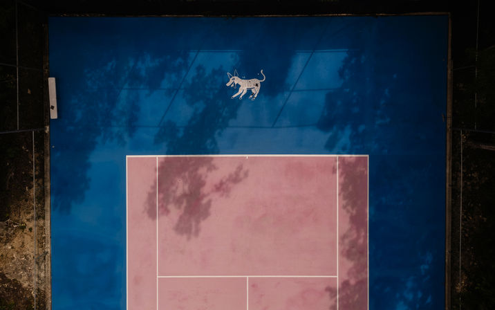 Aerial view of a colorful outdoor tennis court with a pink playing surface, white court lines, deep blue outer area, a playful dog mural near the top, and tree shadows across the court.