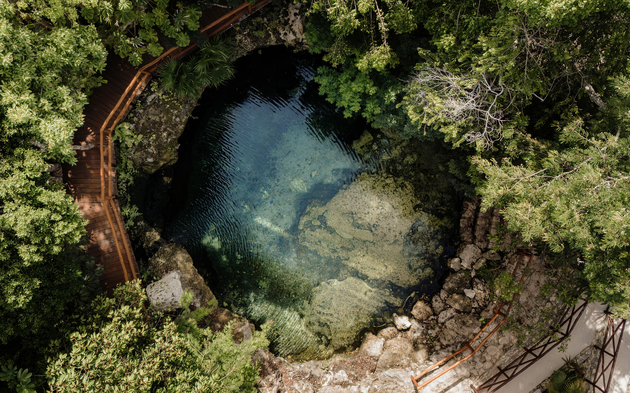 Aerial view of a clear blue cenote — a natural freshwater sinkhole — surrounded by lush tropical forest and winding wooden boardwalks, revealing rocky ledges and underwater rock formations.