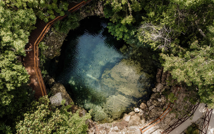 Aerial view of a clear blue cenote — a natural freshwater sinkhole — surrounded by lush tropical forest and winding wooden boardwalks, revealing rocky ledges and underwater rock formations.