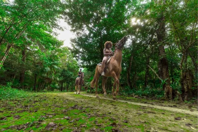 Two riders on horseback traversing a mossy forest trail beneath a dense green canopy with sunlight filtering through the trees — outdoor horseback riding adventure.