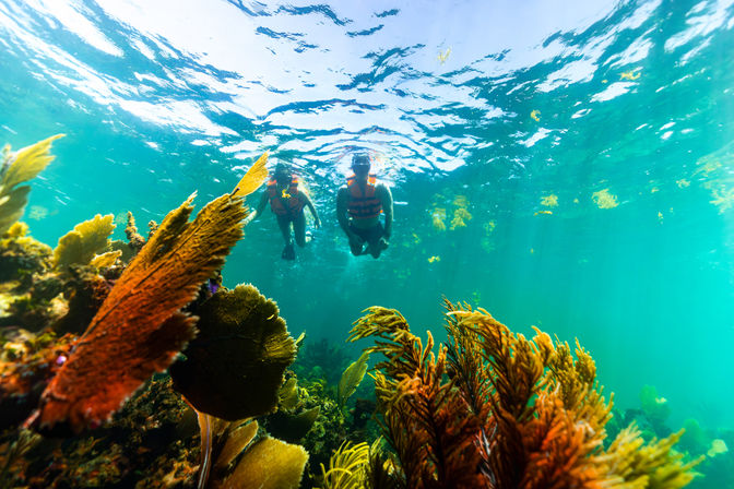 Two snorkelers floating above a vibrant tropical coral reef in clear turquoise water, colorful sea fans and sunlit surface reflections.