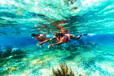 Two snorkelers in orange life vests gliding over a shallow tropical coral reef and seagrass bed in crystal-clear turquoise water