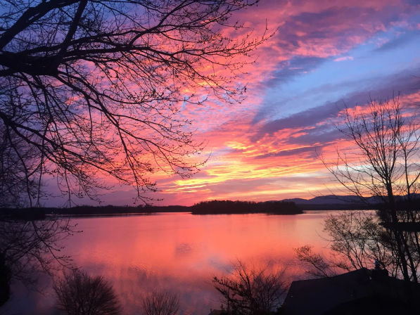 Vibrant pink, orange and purple sunset over a calm lake, silhouetted bare tree branches framing the sky and colorful cloud reflections on the water with a small island in the distance.