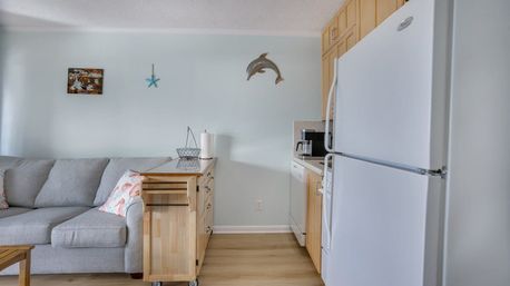 Coastal-themed open-plan living room and kitchenette with light blue walls, gray sofa, wooden rolling island, white refrigerator, light wood cabinets, coffee maker, and dolphin wall decor