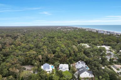 Aerial view of lush coastal forest with a cluster of beachside homes in the foreground and a sandy ocean shoreline stretching along the horizon.