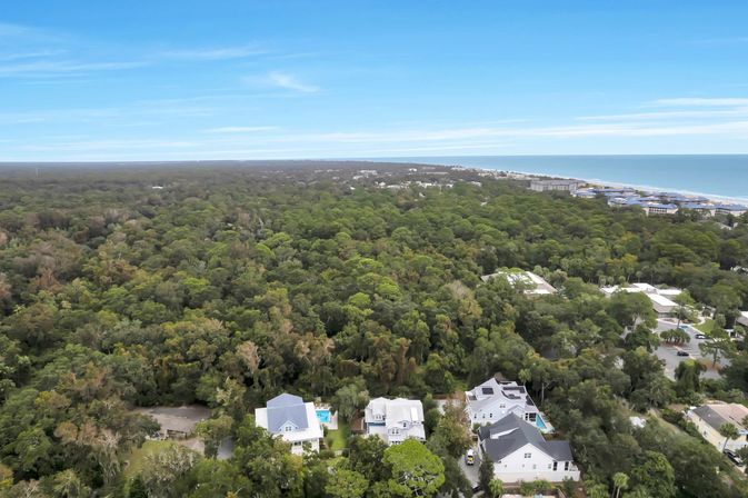 Aerial view of lush coastal forest with a cluster of beachside homes in the foreground and a sandy ocean shoreline stretching along the horizon.