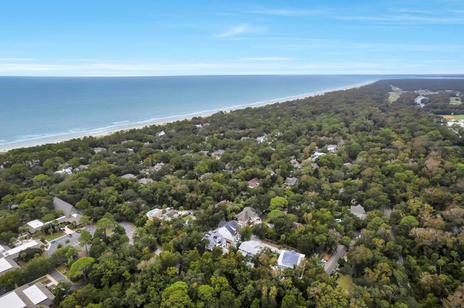 Aerial beach scene of a leafy residential neighborhood backed by a sandy shoreline and calm blue ocean stretching to the horizon under a clear sky.
