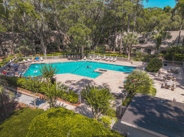 Aerial view of a sparkling community pool with lounge chairs and picnic tables, framed by palm and oak trees draped in Spanish moss in a shaded residential courtyard